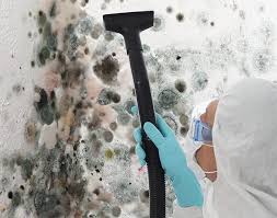 Best Mold Prevention Services in Air Force Academy, CO